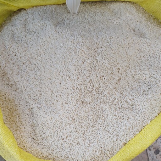 برنج دیلمانی