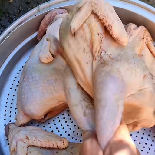 خروس محلی درشت پاک شده تازه و گوشت گرم