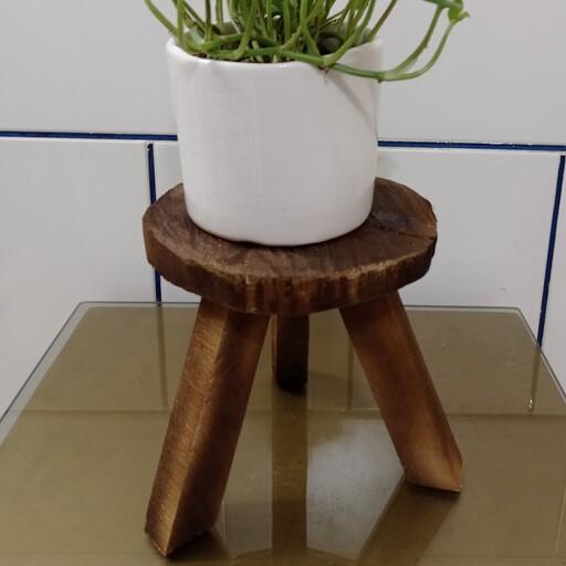 پایه چوبی گلدان. صفحه رویی برش تنه درخت