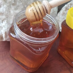 تخفیف 25درصدی از قیمت درج شده به مناسبت افتتاح غرفه عسل چهل گیاه طبیعی