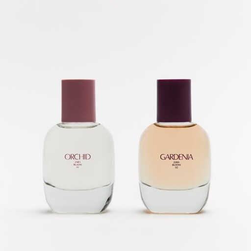 ادکلن زنانه زارا، جفت، دوگانه GARDENIA AND ORCHID، اورجینال، 30 میل