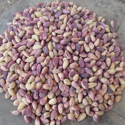 پسته بذری بادامی، مقاوم به شوری آب و خاک(1 کیلویی)