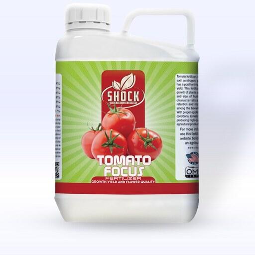 کود 5 لیتری نانو مایع مخصوص رنگ آوری گوجه فرنگی شوک اصل آمریکا