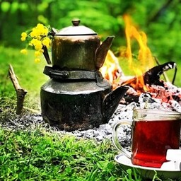 چای درجه یک بهاره لاهیجان عالی عالی عطر و طعم بی نظیر (250گرم)وزین