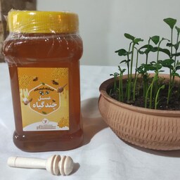 عسل چند گیاه سبلان(یک کیلویی)