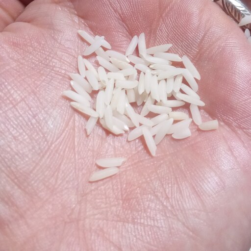 برنج هاشمی ارگانیک، بسته بندی 20 کیلویی 