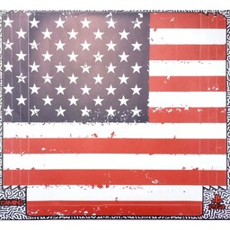اسکین پلی استیشن 4 پرو طرح پرچم آمریکا