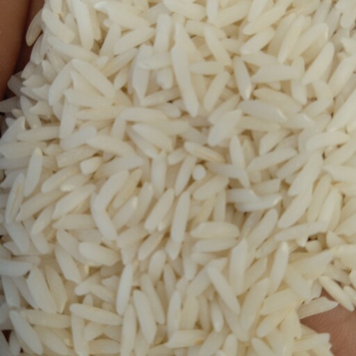 برنج سالاری فوق اعلا 10کیلویی