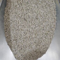 بذر کاهو ( تخم کاهو ) 500 گرم