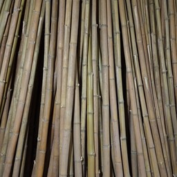 قیم گل چوب بامبو قطر 4 سانت خشک (بسته 7 عددی)