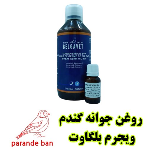 ویجرم روغن جوانه گندم خالص بلگاوت 30 میل پرندگان 