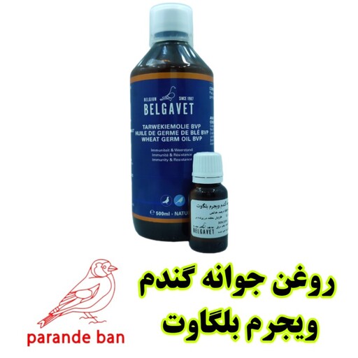 ویجرم روغن جوانه گندم خالص بلگاوت 30 میل پرندگان 