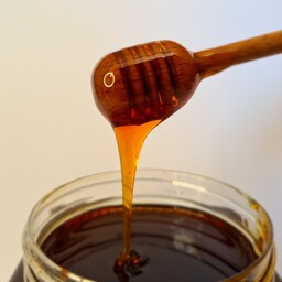 عسل طبیعی چهل گیاه نیم کیلویی هژدانَ