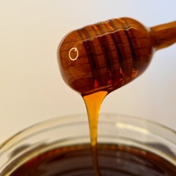 عسل طبیعی چهل گیاه یک کیلویی هژدانَ