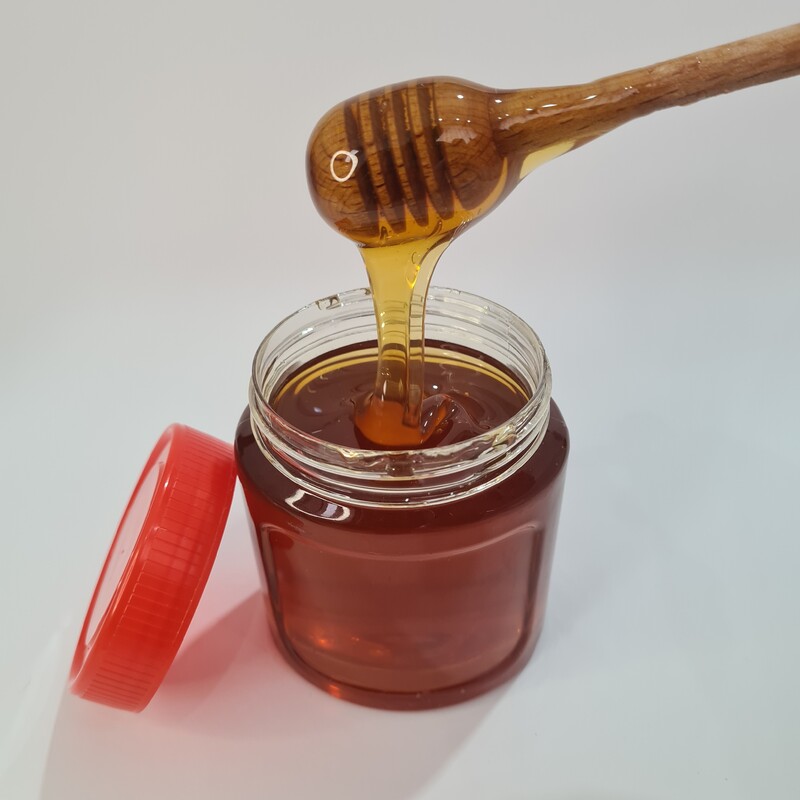 عسل طبیعی گشنیز نیم کیلویی هژدانَ