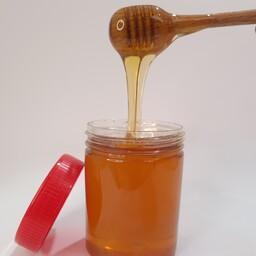 عسل طبیعی کُنار نیم کیلویی هژدانَ