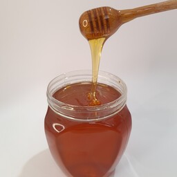 عسل طبیعی کُنار یک کیلویی هژدانَ