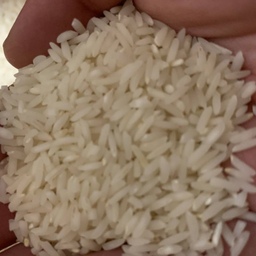 برنج طارم هاشمی اصل مازندران کیسه 10 کیلویی