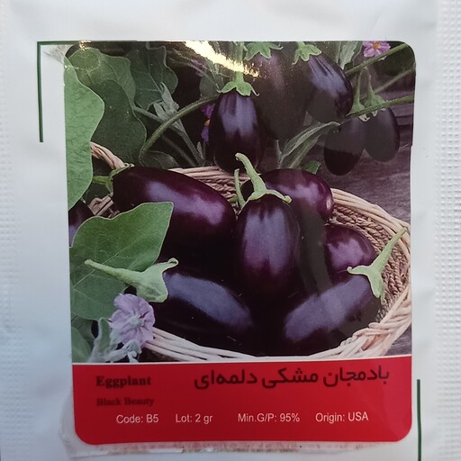 بذر بادمجان دلمه ای مشکی درجه یک پاکتی 