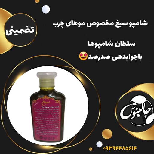 شامپوسبغ برای موی چرب باغلظت بالا رفع ریزش مو تضمینی درغرفه جالینوس مشهد