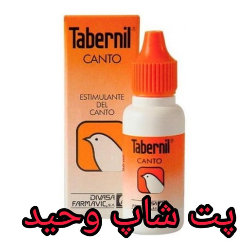 قطره آوازخوانی کانتو تابرنیل 10میل پرنده