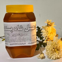 عسل طبیعی کوهستان، یک کیلویی