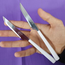 چاقو میوه خوری 12 تایی گیلدا مدل والنسیا سفید کد 8070S 