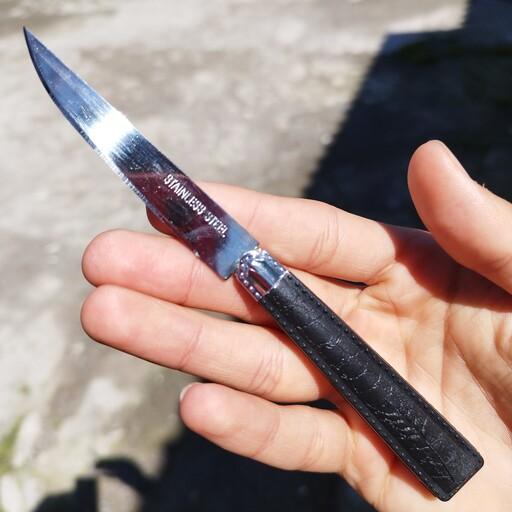 چاقو میوه خوری 12 تایی آتاسای مدل سنبل مشکی