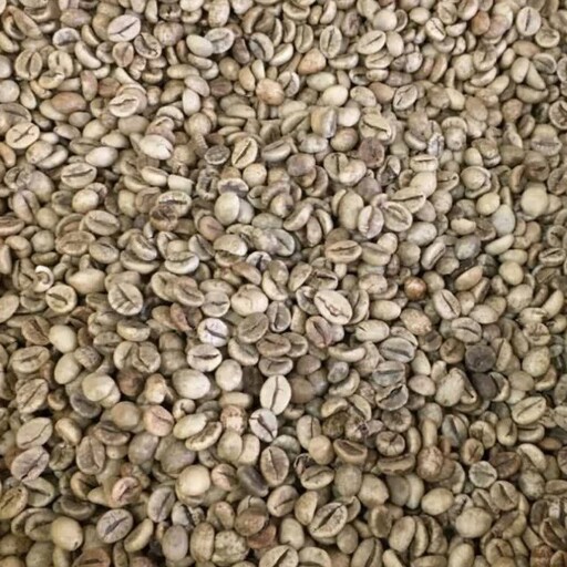 دانه قهوه سبز(1000گرم)عمده 410000تومن کیلو540000تومن