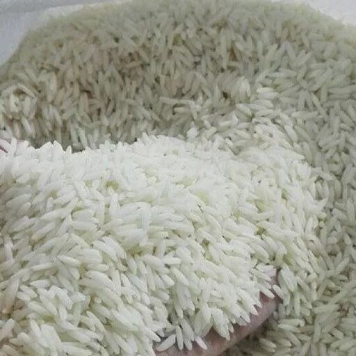 برنج هاشمی کشت دوم شالیبو وزن 5 کیلوگرم ارسال رایگان