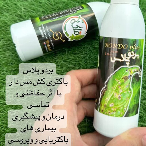 باکتری کش ملکه