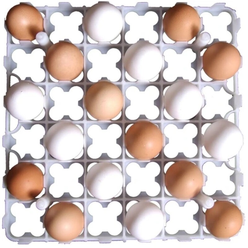 شانه تخم مرغ دستگاه جوجه کشی 36 تایی