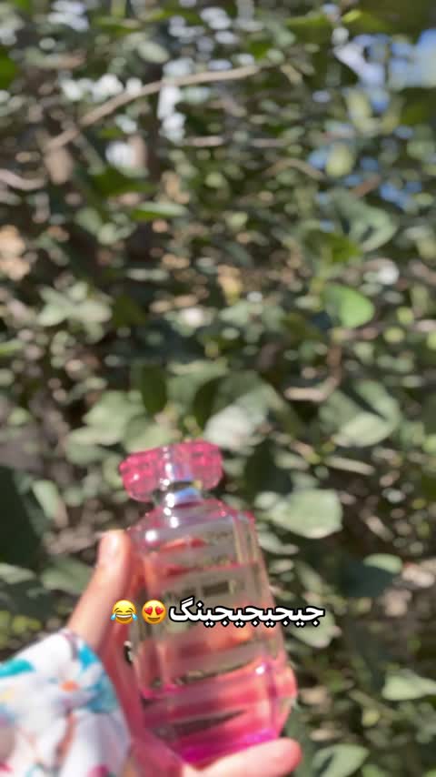فرگرنس ورد رز سداکشن سکرت مشابه بامبشل صورتی