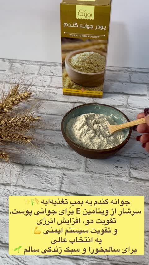 پودر جوانه گندم  1000 گرمی رویسا