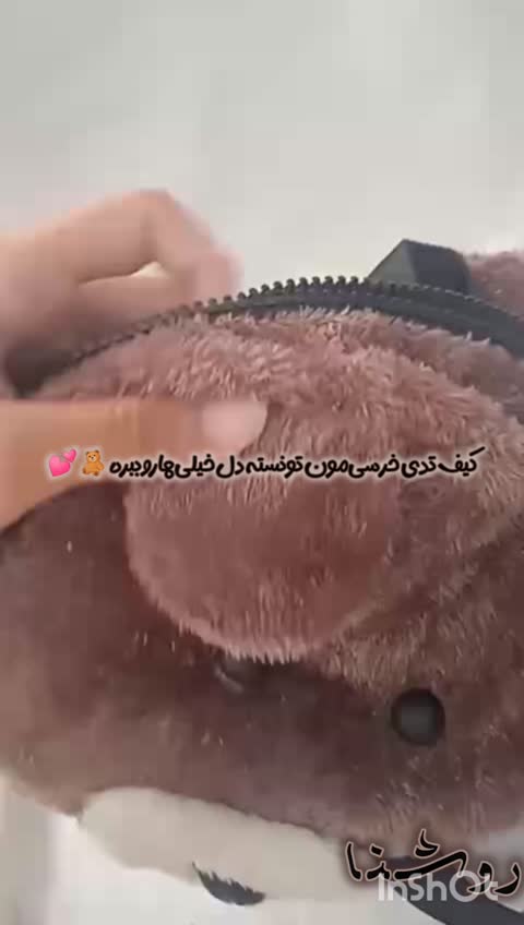 کیف گرد تدی خرسی 