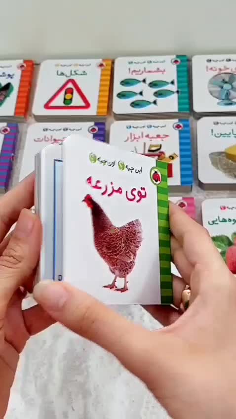 کتاب فرهنگ تصویری این چیه اون چیه؟ (پک آبی 6 جلدی با کیف) انتشارات شهر قلم