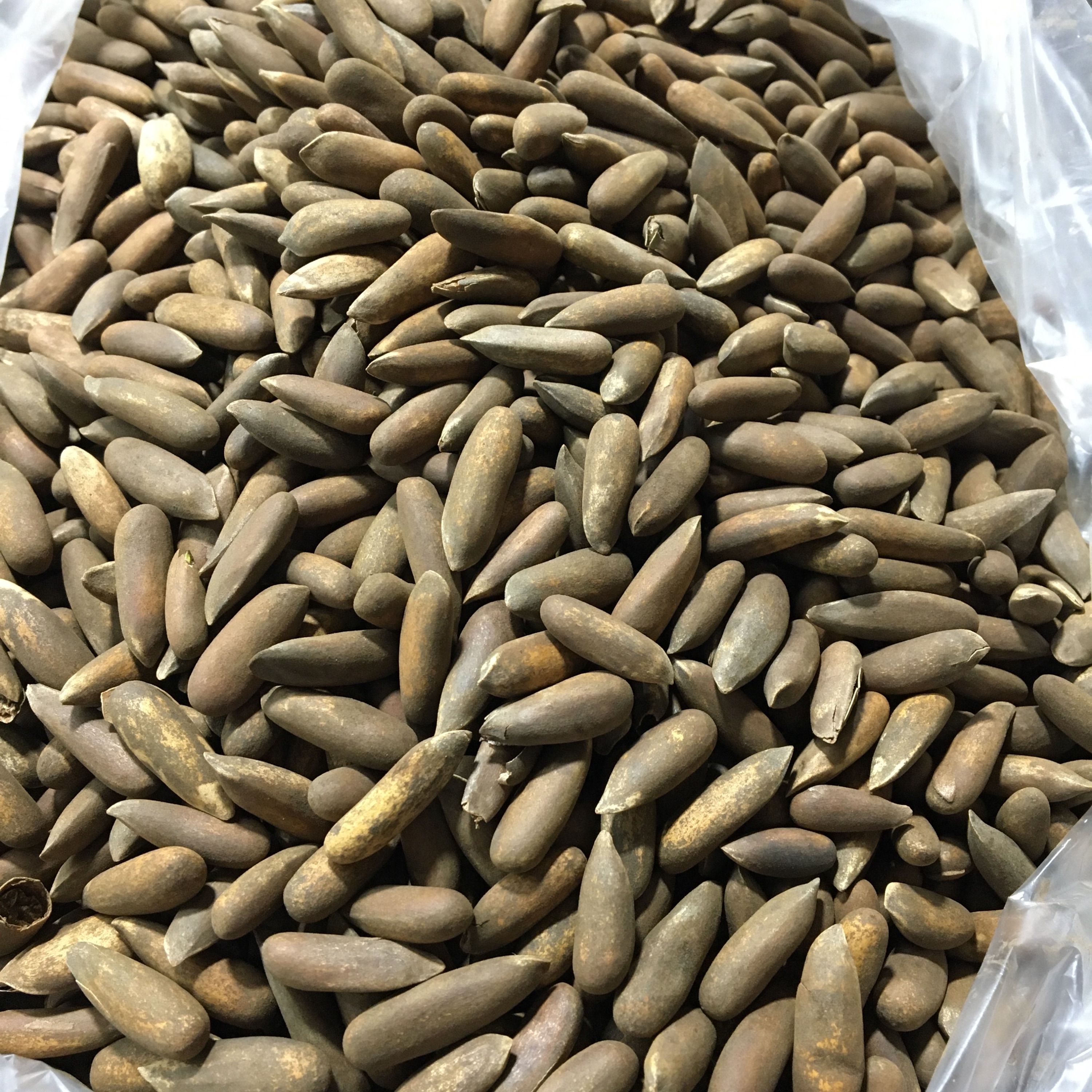 چلغوز با پوست(بدون نمک) 50گرم