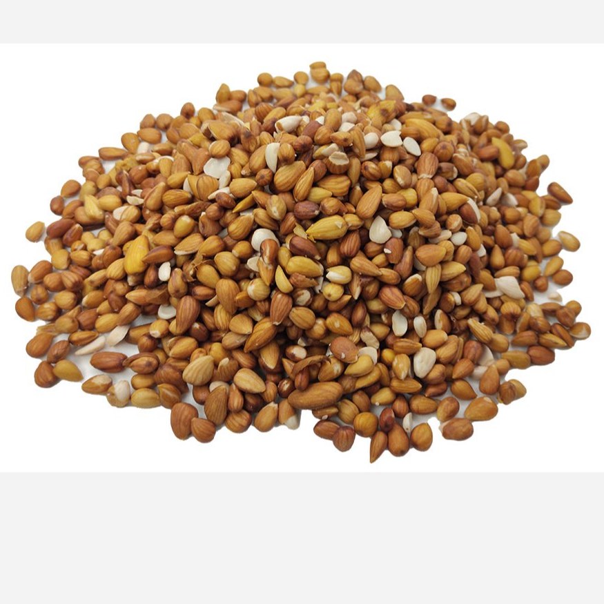 مغز الوک خیس 1000 گرم(پاسورک)