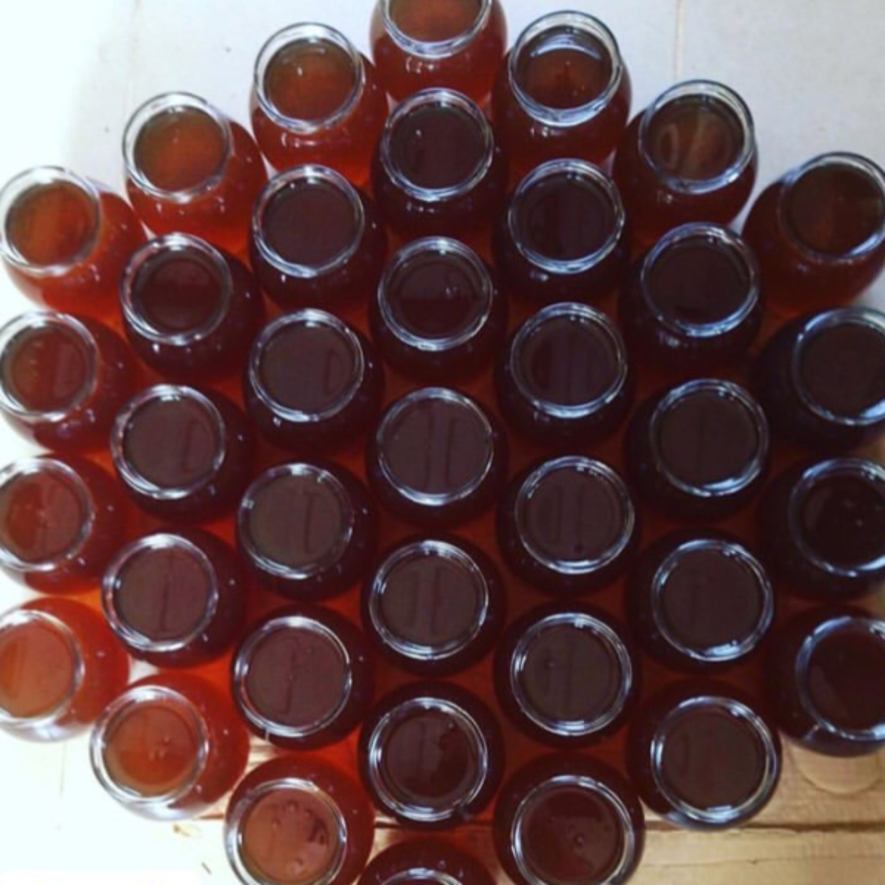 عسل کوهستان درکه1000 گرم(آزمایش ساکاروز 1  )امکان مرجوعی بدون قید و شرط