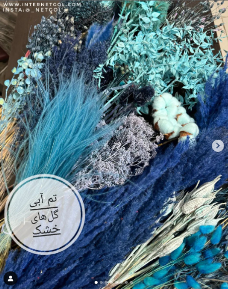 پک  آبی گلهای خشک