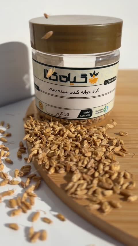  بذر جوانه گندم، بار امسالی و تازه(50 گرمی )