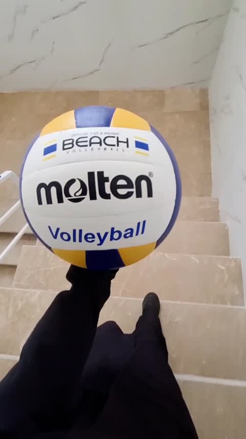 توپ والیبال (Volleyball) چرمی بتا پروتاچ (Pro Touch) سایز 5