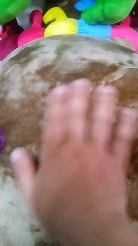  عروسک خرس شاسخین بزرگ ( ارتفاع 150 )