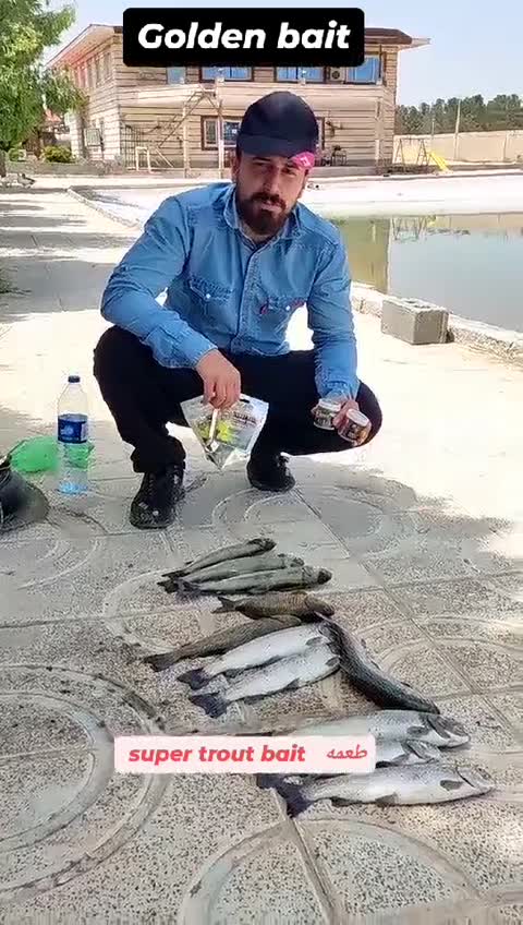 طعمه ماهیگیری قزل آلا برکلی (طعم بچه ماهی)