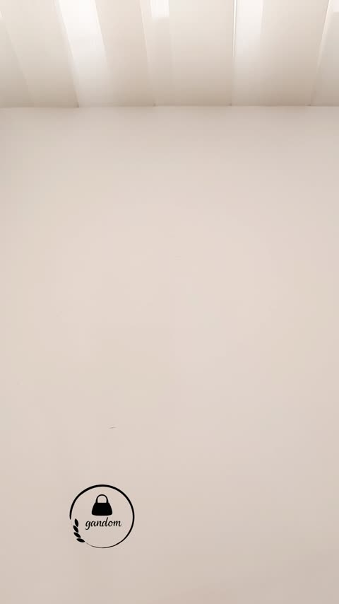 کیف پرتیزیس