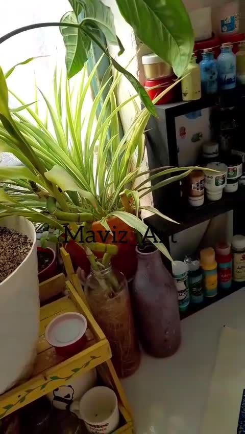 تت بگ(کیف پارچه ای) طرح ونگوک 