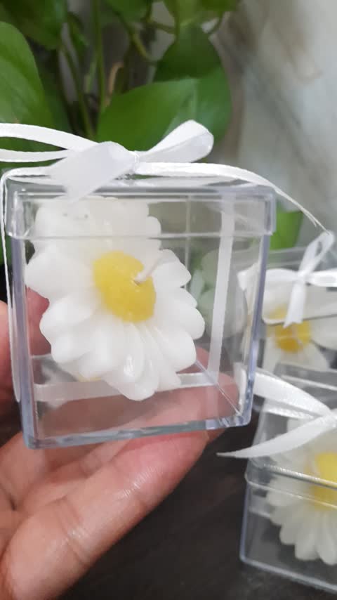 شمع بابونه شمع مارگاریت بسته 30 عدد