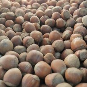 فندق خام یک کیلو