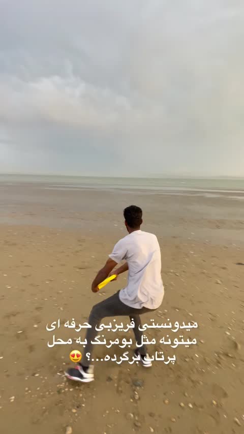 فریزبی حرفه ای Dr.Dortaj مدل اسکلت