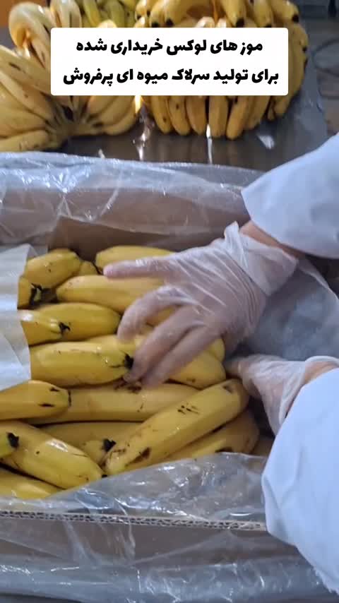 سرلاک میوه ای (سویق میوه ای) 